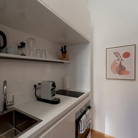 Premium In Altstadtnaehe Appartement Graz